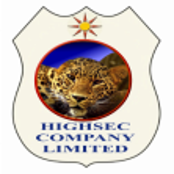 High Security Company Logo